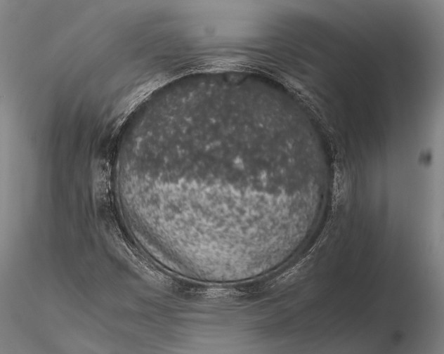 X0000115621449200912011603