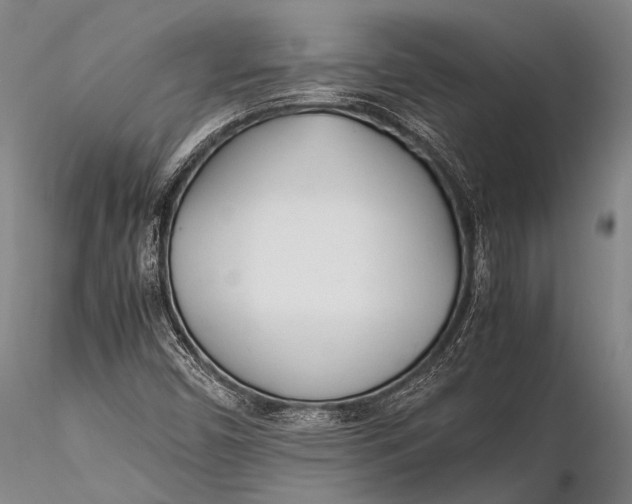 X0000115621450200912011603