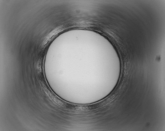 X0000115621451200912011603