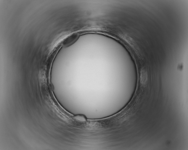 X0000115621452200912011603