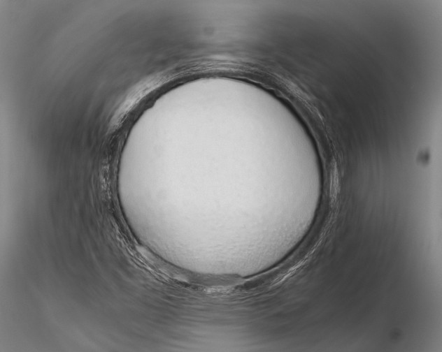 X0000115621453200912011603