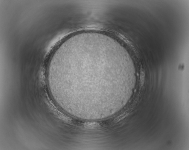 X0000115621454200912011603