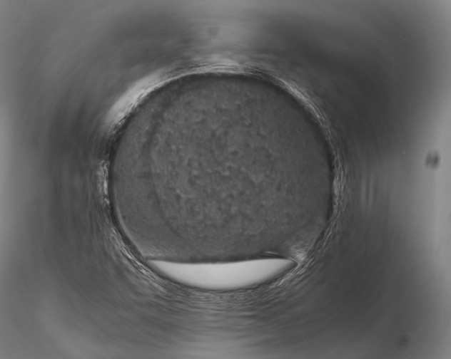 X0000115621455200912011603