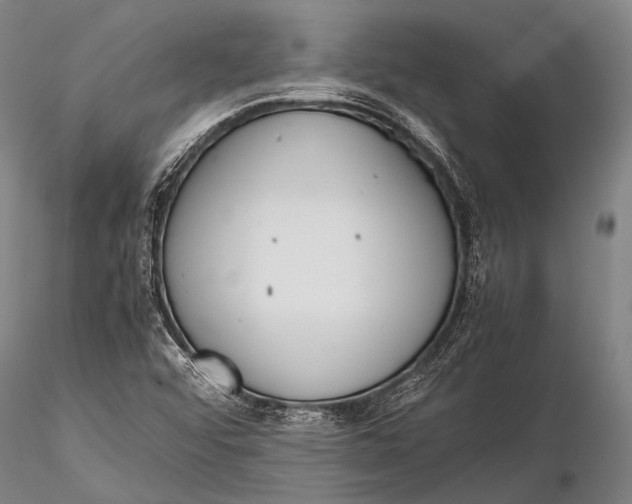 X0000115621456200912011603