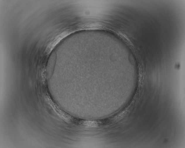 X0000115621457200912011603