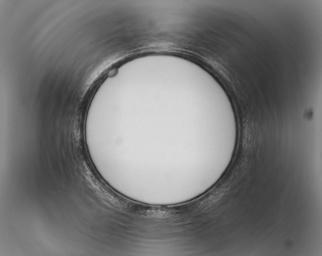 X0000115621458200912011603