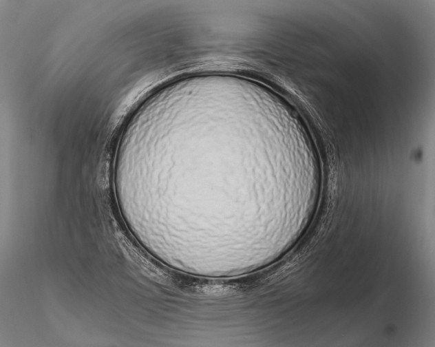 X0000115621459200912011603