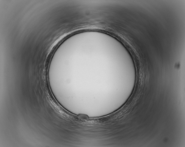 X0000115621460200912011603