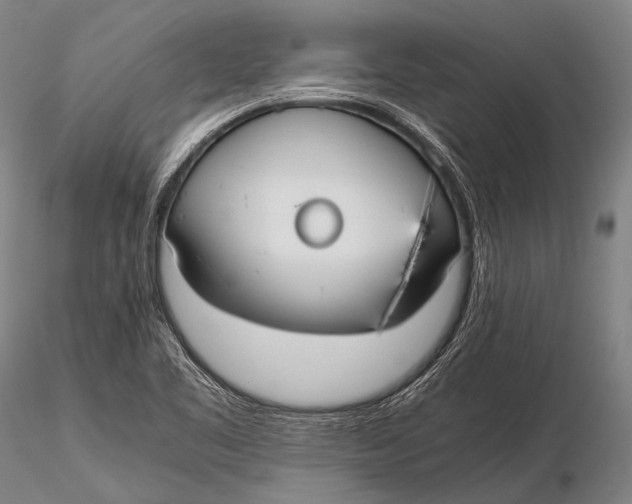 X0000115621461200912011603