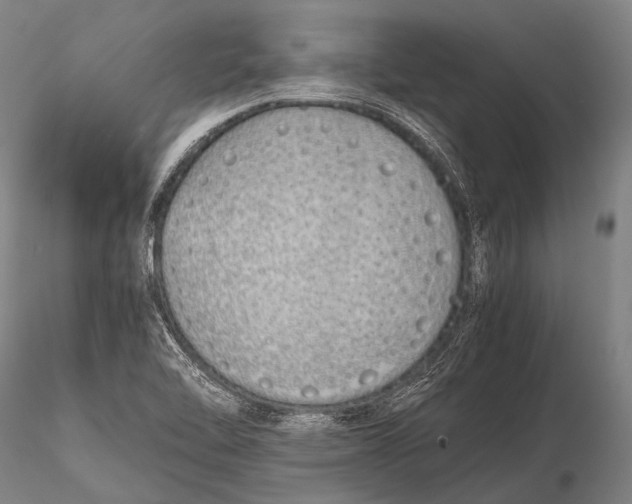 X0000115621462200912011603