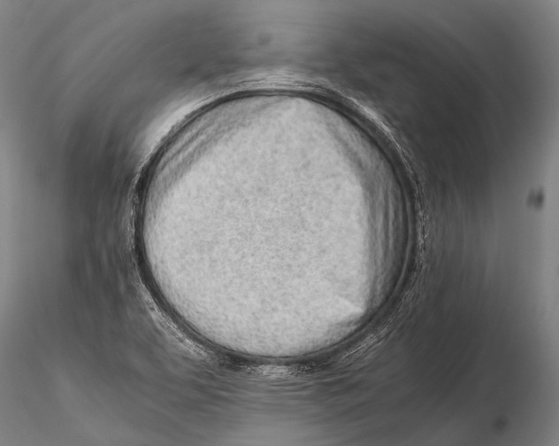 X0000115621463200912011603