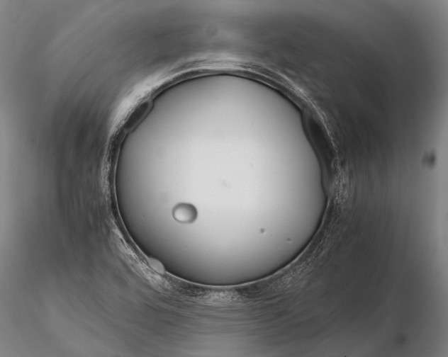 X0000115621464200912011603