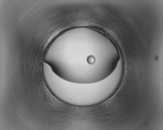 X0000115621465200912011603