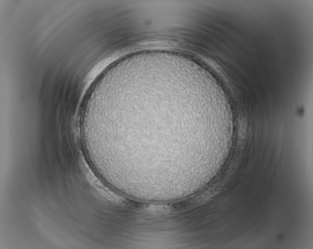 X0000115621466200912011603