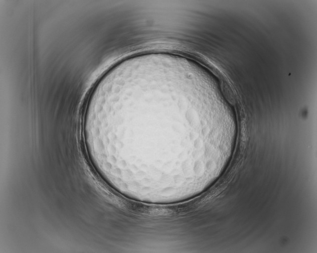 X0000115621467200912011603