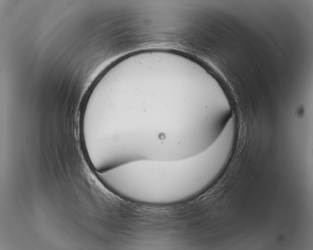 X0000115621468200912011603