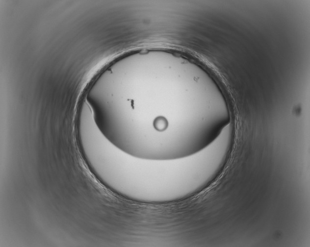 X0000115621469200912011603