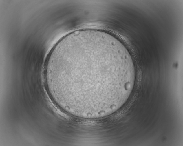 X0000115621470200912011603