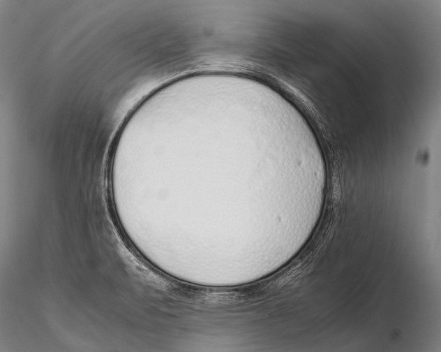 X0000115621471200912011603