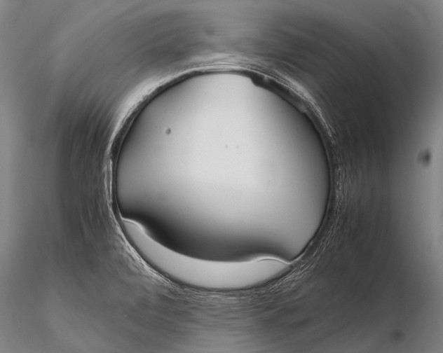 X0000115621472200912011603