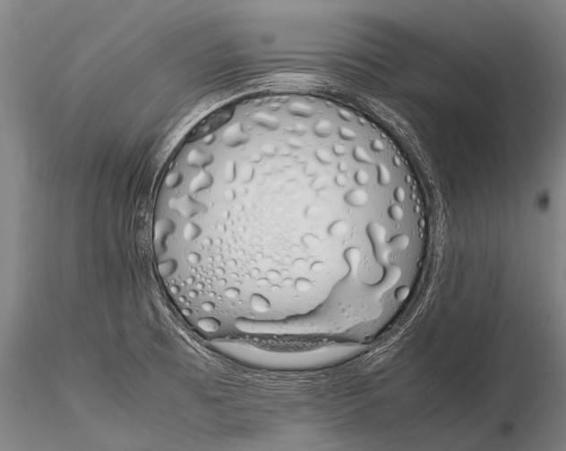 X0000115621473200912011603