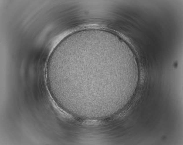 X0000115621474200912011603