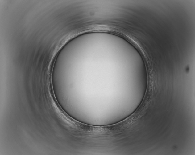 X0000115621475200912011603