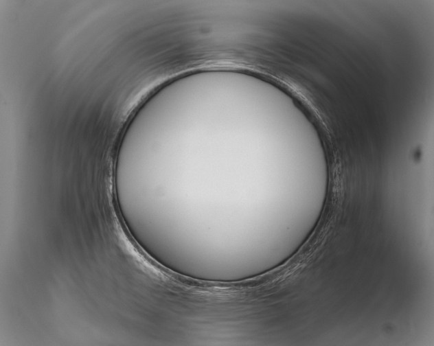 X0000115621476200912011603