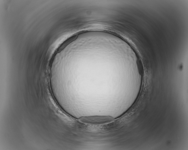 X0000115621477200912011603