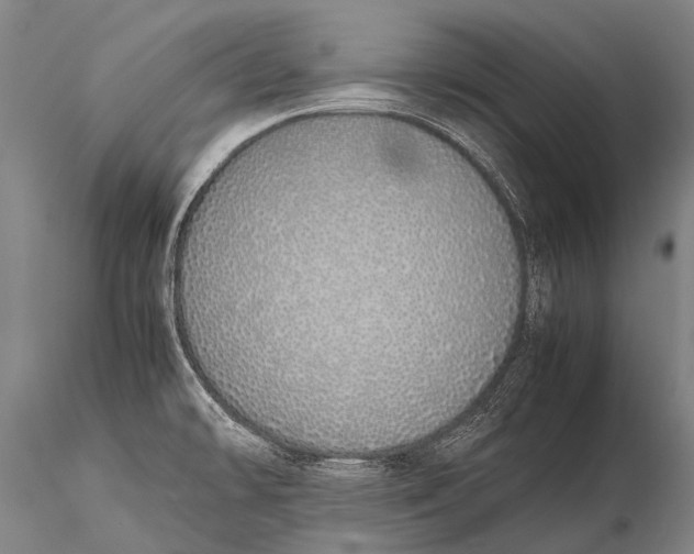 X0000115621478200912011603