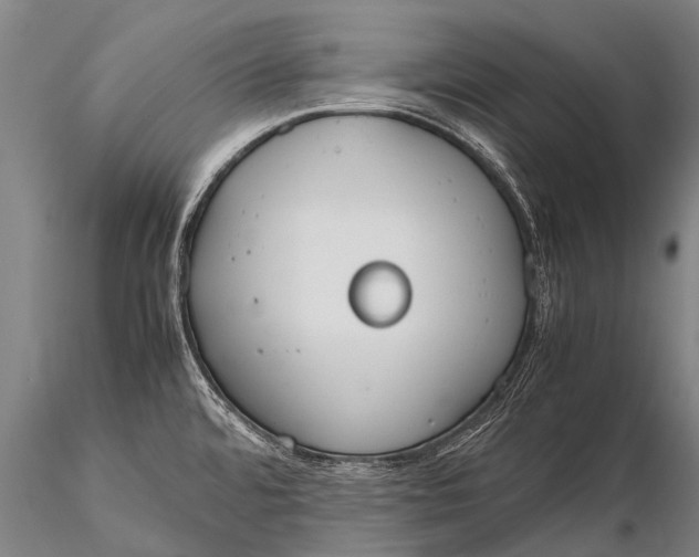 X0000115621480200912011603