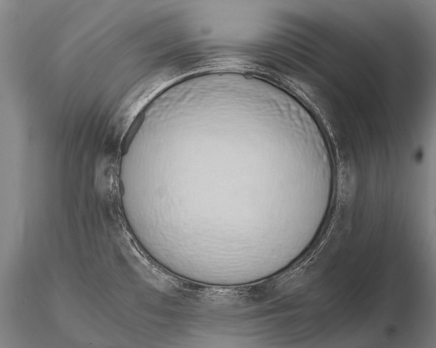 X0000115621481200912011603