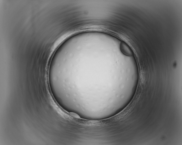 X0000115621482200912011603