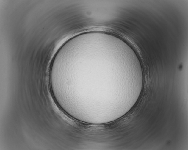 X0000115621483200912011603