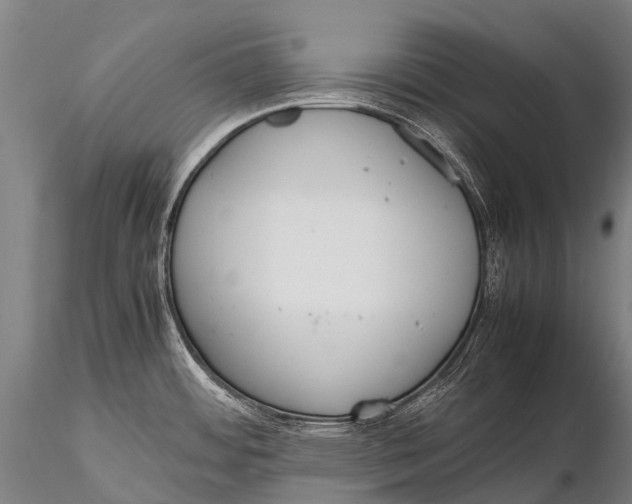 X0000115621484200912011603