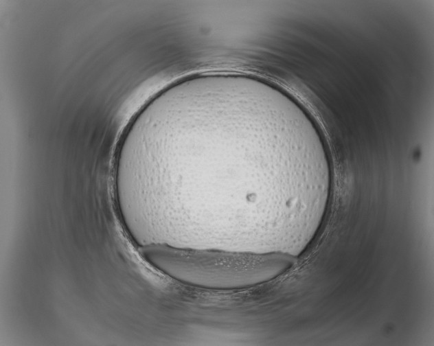 X0000115621485200912011603