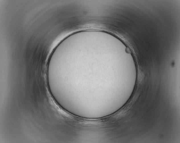 X0000115621486200912011603