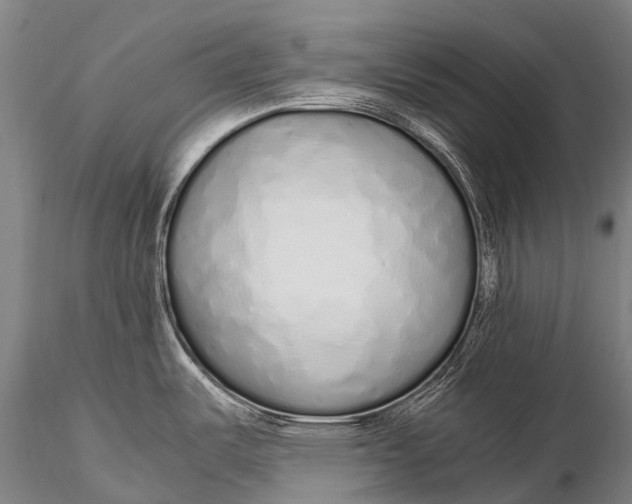 X0000115621487200912011603