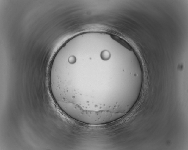 X0000115621488200912011603