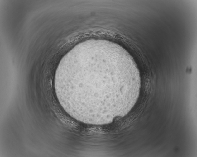 X0000115621489200912011602