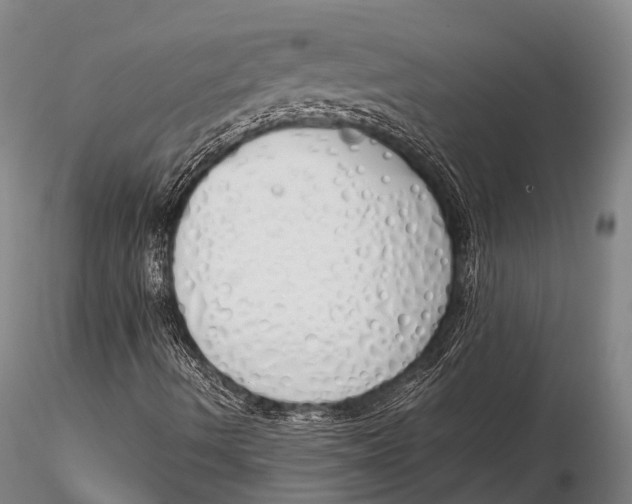 X0000115621490200912011602