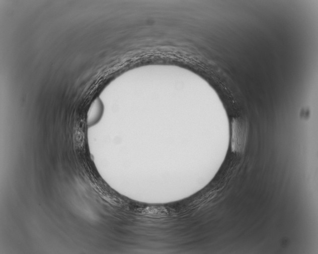 X0000115621491200912011602