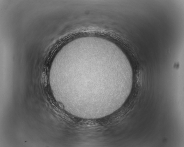 X0000115621493200912011602