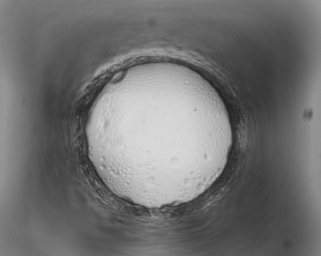 X0000115621494200912011602