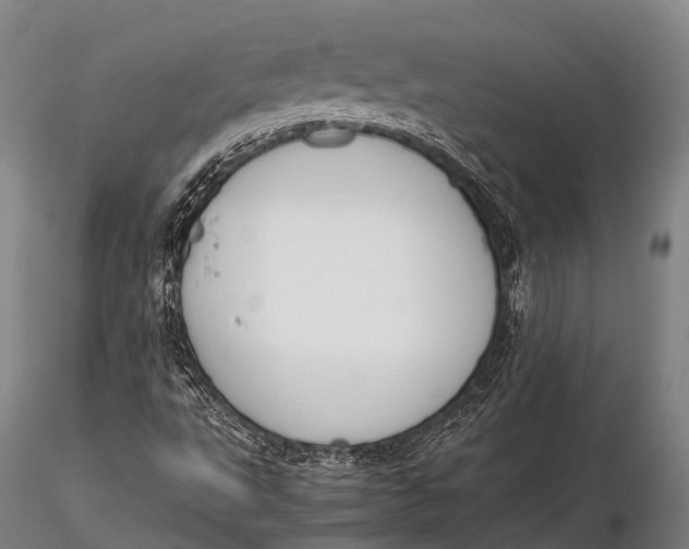 X0000115621495200912011602