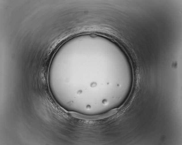 X0000115621497200912011602