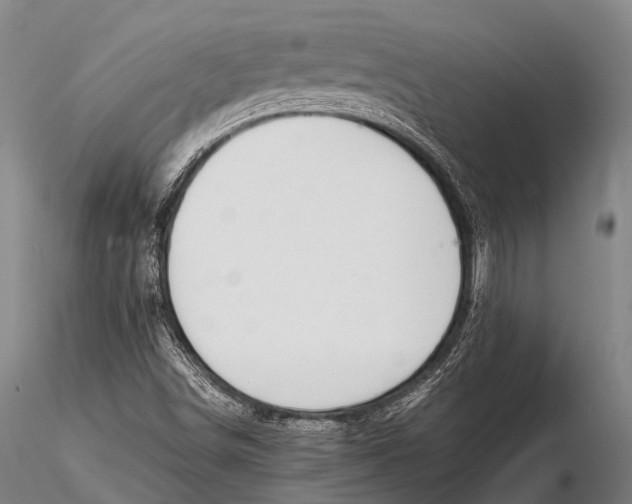 X0000115621498200912011602