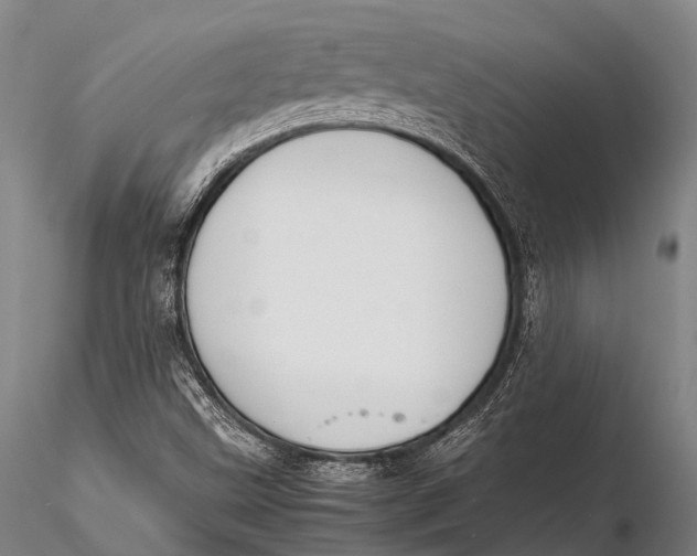 X0000115621499200912011602