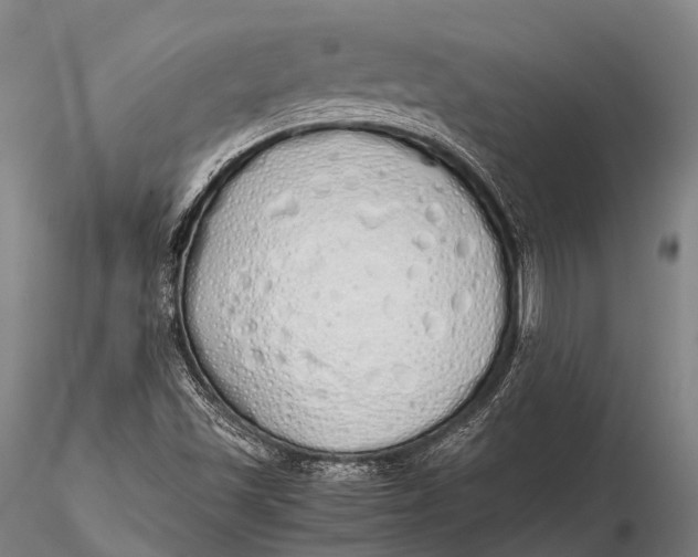 X0000115621501200912011602