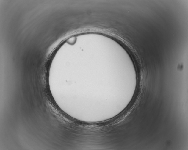 X0000115621502200912011602